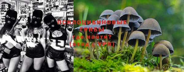 ALPHA PVP Володарск