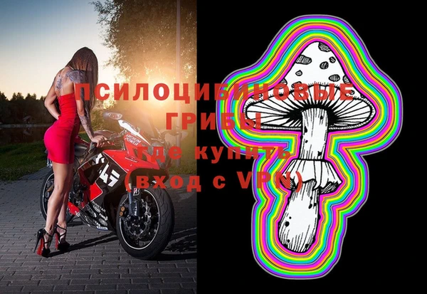 ALPHA PVP Володарск