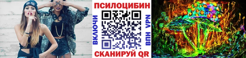 Купить где  Велиж  Псилоцибиновые грибы Magic Shrooms 